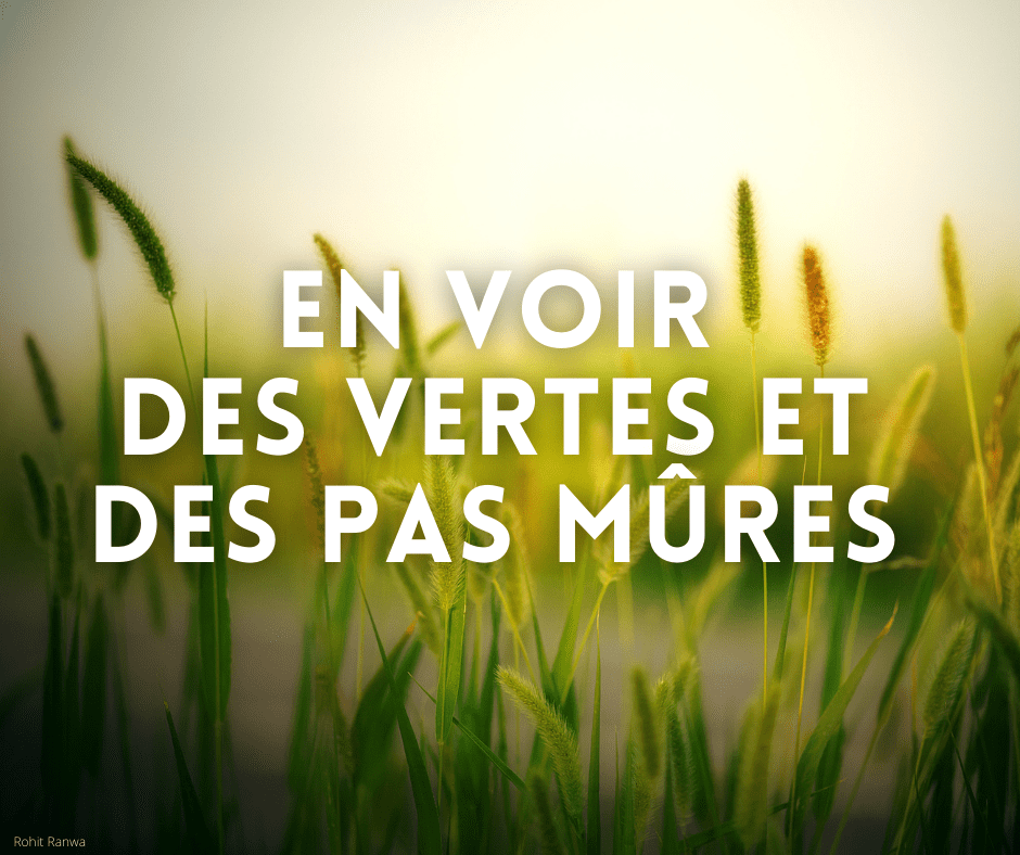 En voir des vertes et des pas mûres