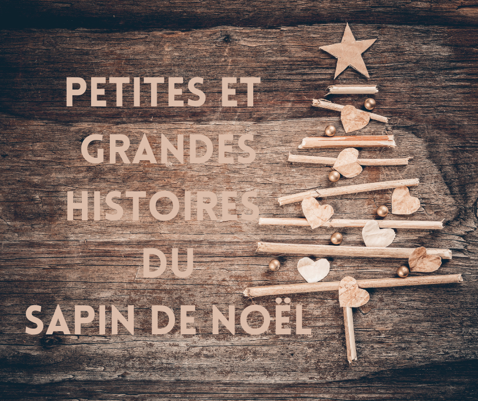 Petites et grandes histoires du sapin de Noël