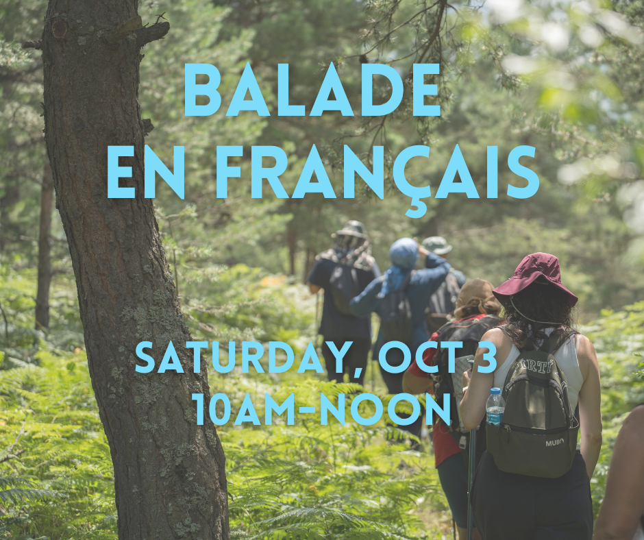 Ballade en français